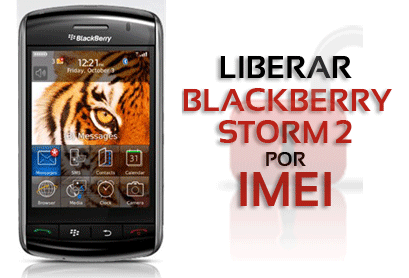 Blackberry Storm 2